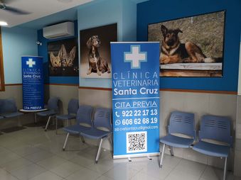 Clínica Veterinaria Santa Cruz sala de espera